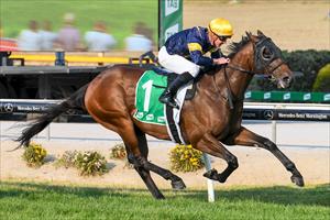 LATE MATURING BROTHER OF A GUN SCORES MAIDEN WIN